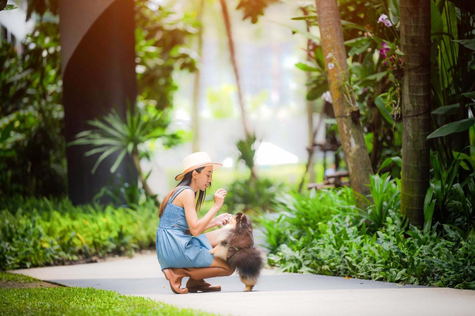 Hotel Homa Phuket Town Zewnętrze zdjęcie